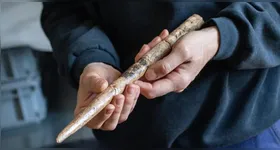 Os ossos encontrados em 26 sítios arqueológicos ligados à cultura Magdaleniana, que existiu entre 20 mil e 14 mil anos atrás.