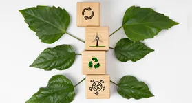 Práticas simples como substituir sacolas plásticas, adotar etiquetas eletrônicas e separar corretamente o lixo transformam o varejo em um agente ativo da sustentabilidade.