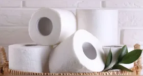 Diante dessas descobertas, profissionais da área de saúde começaram a recomendar medidas preventivas para minimizar a exposição a essas substâncias químicas nocivas.