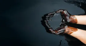 A ideia romantizada de que estamos "queimando Tiranossauros Rex" nos motores de nossos veículos pode ser cinematográfica, mas não passa de um equívoco científico.