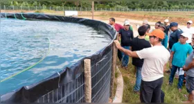 Com o potencial amazônico e as políticas públicas adequadas, o Pará caminha para se consolidar ainda mais como referência em piscicultura sustentável, combinando tradição local com inovação tecnológica para atender às demandas crescentes do mercado de pescado.