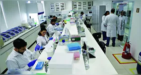 Trabalho de pesquisa do Projeto Genômica da Biodiversidade Brasileira (GBB)