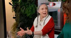 Regina Duarte não economizou palavras para criticar a nova versão da novela.