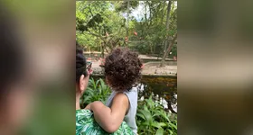 Confira 5  passeios ao ar livre para fazer com as crianças na Grande Belém.