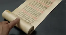 Palavras como ioga, avatar, guru, mantra e nirvana têm origem sânscrita. Além disso, de forma indireta, nomes de cores como azul e lilás, e frutas como limão e laranja também derivam desta antiga linguagem