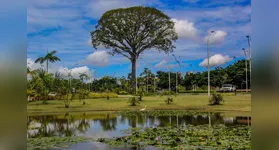 Cosanpa abre inscrições para Corrida das Águas com premiação em dinheiro. Evento será realizado no Parque do Utinga, em Belém.