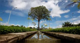 Ao todo, serão ofertadas 20 vagas, com atuação no parque estadual prevista entre os dias 18 de agosto de 2025 e 18 de agosto de 2026.