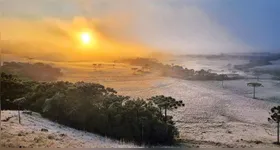 Termômetros em São Joaquim, na Serra Catarinense, marcaram impressionantes -6,5°C na última quarta-feira (11).