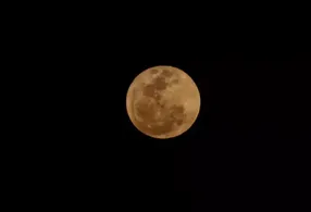 Lua do Veado reflete um ciclo de transformação e evolução.