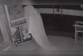 Nas imagens, o suspeito aparece entrando no local completamente envolto no tecido branco.