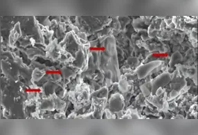 Descoberta em fóssil de dinossauro mandíbula oferece novas pistas sobre a origem e evolução do câncer e abre caminho para avanços na medicina moderna.
