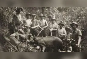 Maior mamífero terrestre da América do Sul não era visto na região há mais de 100 anos.