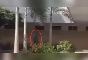 Câmeras de segurança registram sombra misteriosa em um hospital de Macapá.