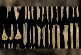 Fósseis humanos com marcas de cortes, cremação e mordidas foram encontrados em caverna na região de Atapuerca, indicando prática isolada de antropofagia no período Neolítico.