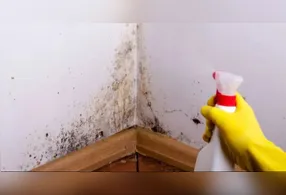 Saber identificar o tipo de tinta é essencial para remover sujeiras e mofo de forma segura