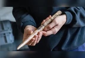 Os ossos encontrados em 26 sítios arqueológicos ligados à cultura Magdaleniana, que existiu entre 20 mil e 14 mil anos atrás.