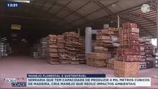 Imagem ilustrativa do vídeo: Manejo florestal garante renda e preservação da Amazônia