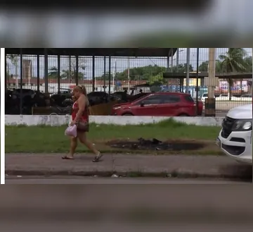 Imagem ilustrativa da imagem VÍDEO: Cachorro é queimado em via pública após ser atropelado em Icoaraci