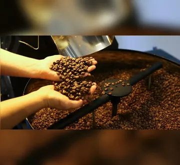 Imagem ilustrativa da imagem Após 18 meses de alta, preço do café registra primeira queda