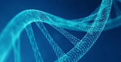 Imagem ilustrativa da imagem Cientistas iniciam projeto para criar DNA humano sintético