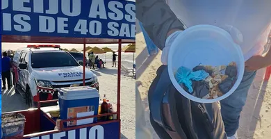 Imagem ilustrativa da imagem Vendedor de queijo é flagrado com drogas em Salinas