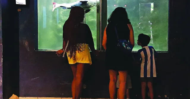 Imagem ilustrativa da notícia Vai ficar em Belém? Veja locais bacanas para curtir a cidade com a família
