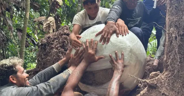Imagem ilustrativa da notícia Urnas funerárias milenares são encontradas no Amazonas