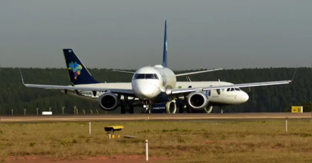 Imagem ilustrativa da notícia Avião da Azul atropela tamanduá e voo no Pará é interrompido
