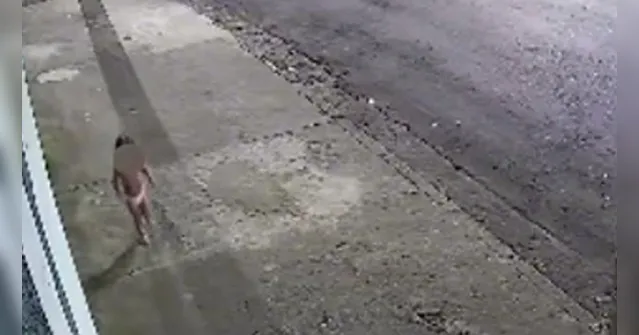Imagem ilustrativa da notícia VÍDEO: Criança de 3 anos é deixada sozinha em casa para mãe ir a baile funk