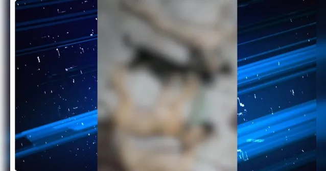 Imagem ilustrativa da notícia VÍDEO: Polícia investiga envenenamento de cães e gatos em Ananindeua