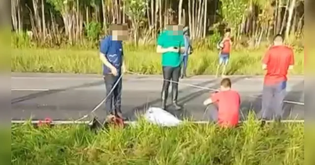 Imagem ilustrativa da notícia VÍDEO: Motociclista morre após colidir com carro na BR-316