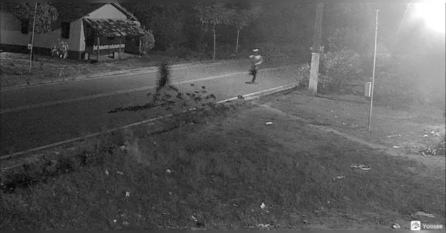Imagem ilustrativa da notícia Idoso é morto com tiro no peito na porta de casa em Bragança