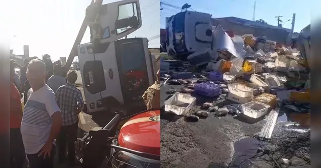 Imagem ilustrativa da notícia VÍDEO: caminhão carregado de peixe tomba na BR-316 em Castanhal