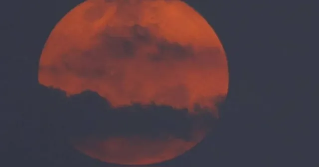 Imagem ilustrativa da notícia Conheça a "Lua do Veado" que será visível nesta quinta (10)