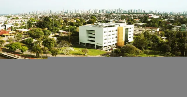 Imagem ilustrativa da notícia UFPA lança curso de Graduação em Inteligência Artificial