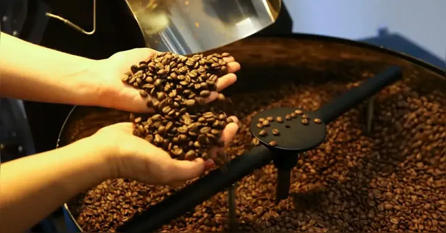 Imagem ilustrativa da notícia Após 18 meses de alta, preço do café registra primeira queda