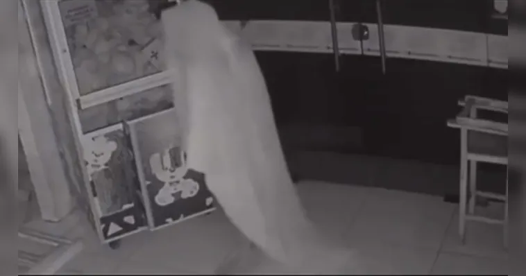 Imagem ilustrativa da notícia VEJA O VÍDEO: Ladrão "fantasma" invade e furta loja de açaí