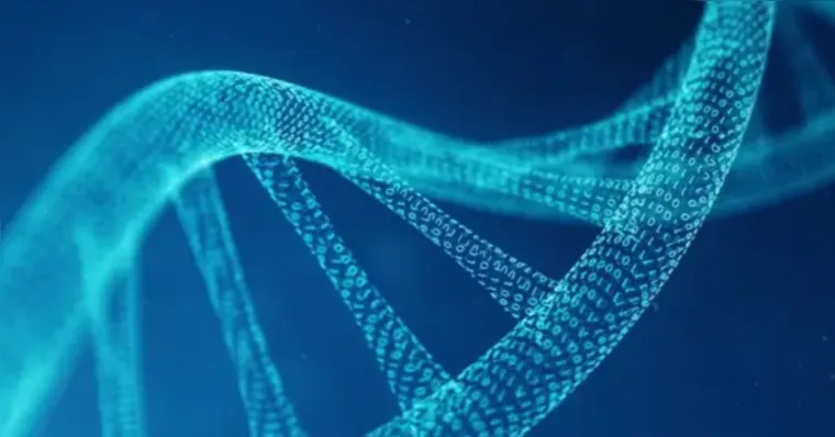 Imagem ilustrativa da notícia Cientistas iniciam projeto para criar DNA humano sintético