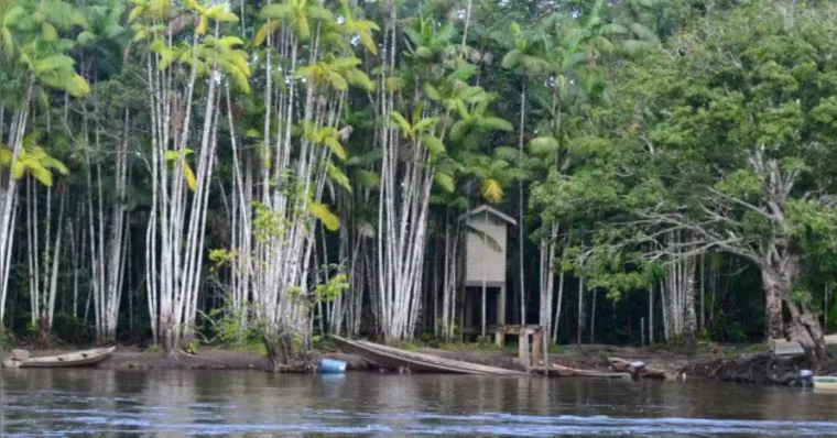 Imagem ilustrativa da notícia Seis homens são mortos em zona de garimpo entre Pará e Amapá