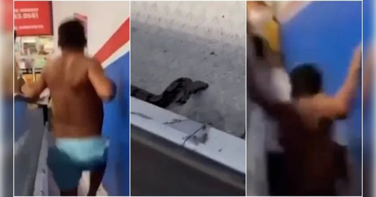 Imagem ilustrativa da notícia VÍDEO: Homem despenca em buraco de escada rolante ao tentar capturar cobra