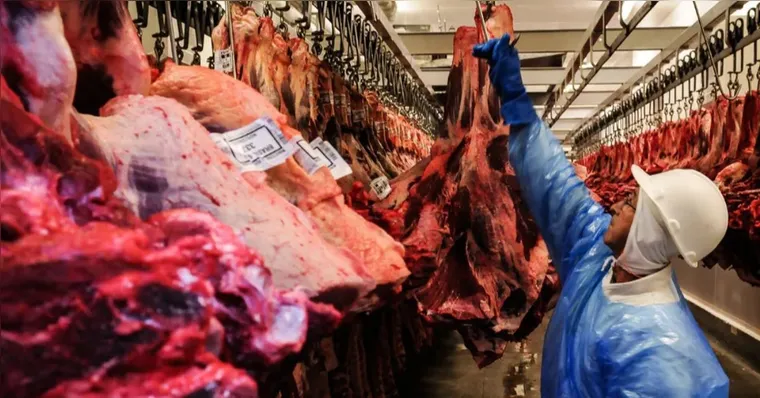 Imagem ilustrativa da notícia Frigoríficos brasileiros suspendem venda de carne aos EUA; entenda