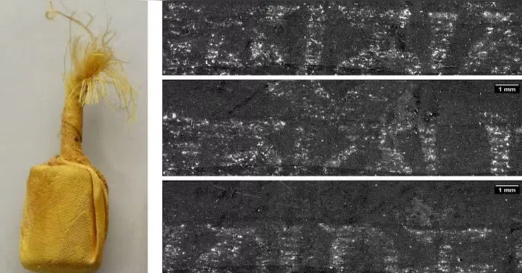 Imagem ilustrativa da notícia Tomografia 3D e IA leem pergaminhos budistas sem precisar abri-los