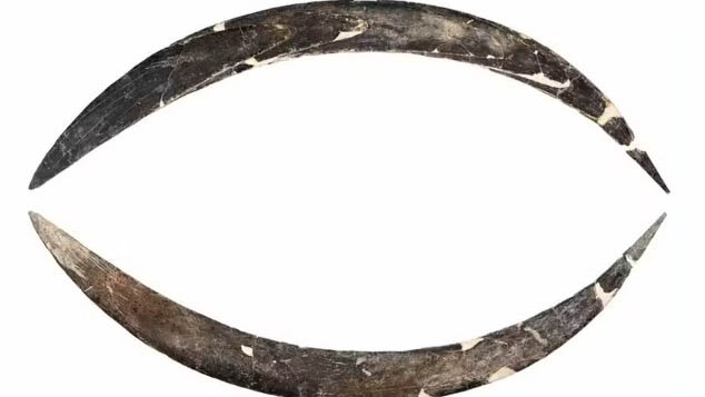 Modelo da peça antiga encontrada