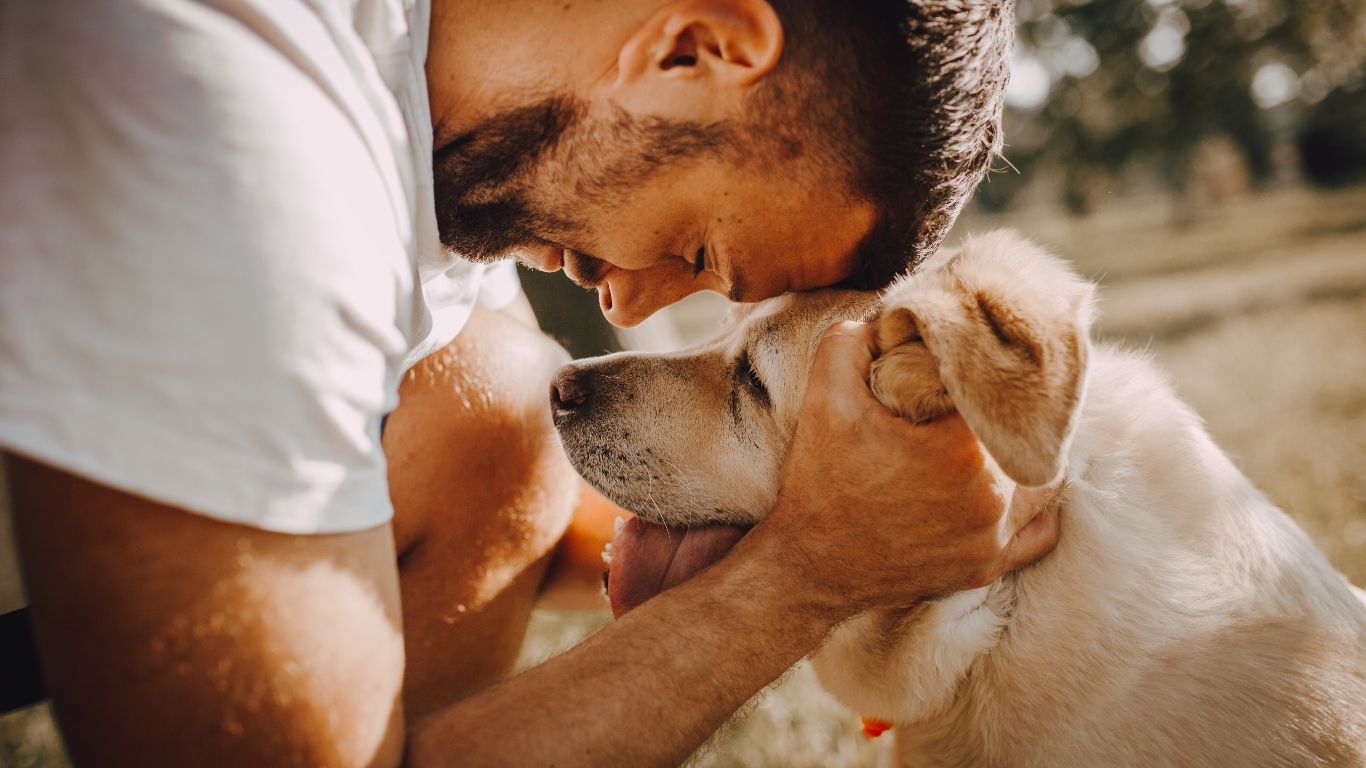 Os pesquisadores convidaram cerca de 40 donos de cães para um teste de estresse em laboratório.