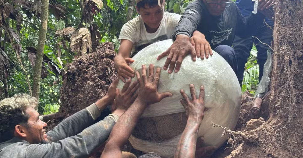 Essas estruturas foram erguidas com terra e fragmentos cerâmicos, permitindo a ocupação contínua em regiões de várzea.