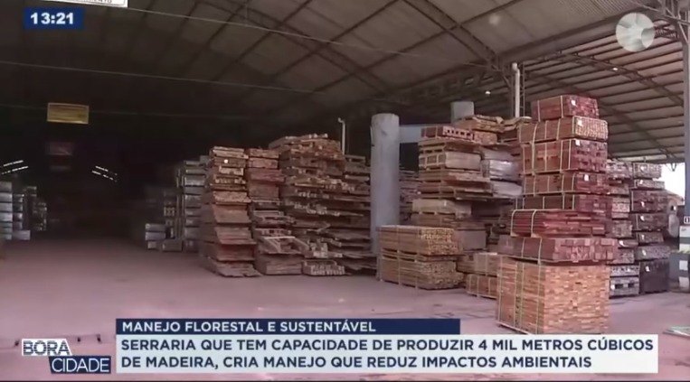 Imagem ilustrativa da notícia: Manejo florestal garante renda e preservação da Amazônia