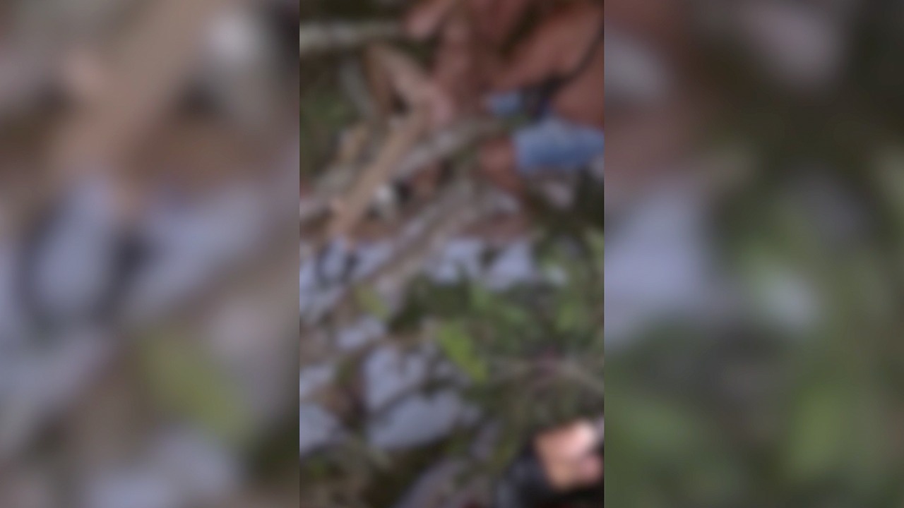 Por pouco o casal não foi atingido pela árvore.