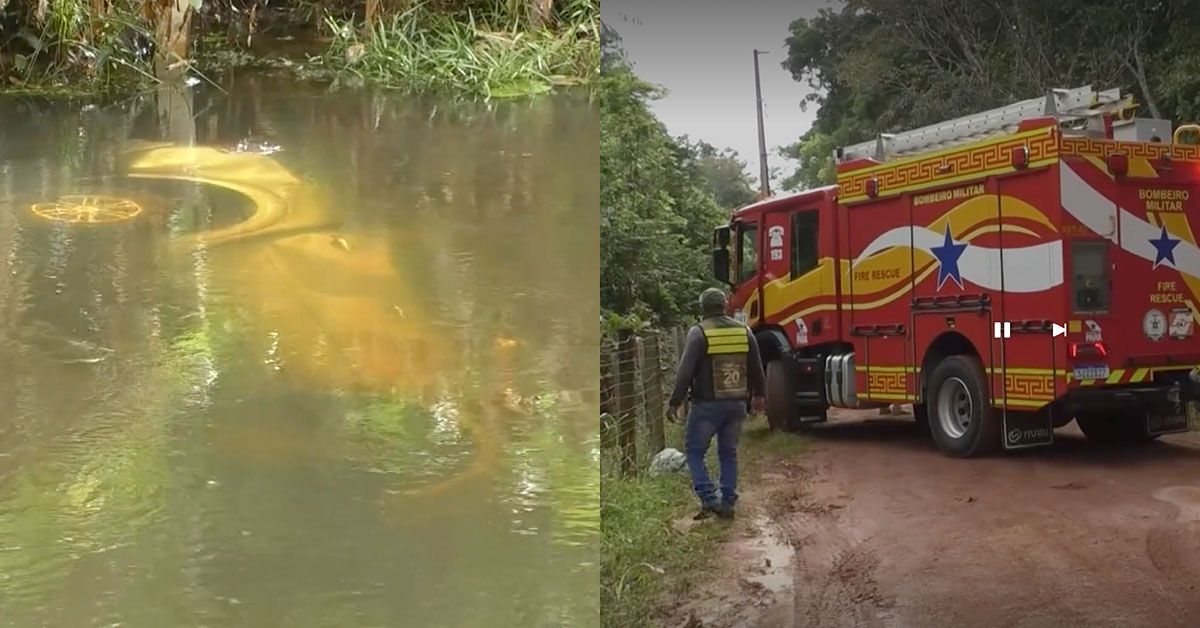 Imagem ilustrativa da notícia: Altamira: idoso encontrado morto dentro de carro caído em igarapé