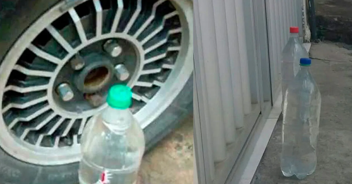 Colocar garrafas PET com água ao lado do carro é superstição ou um truque eficaz para espantar animais e reduzir o calor.