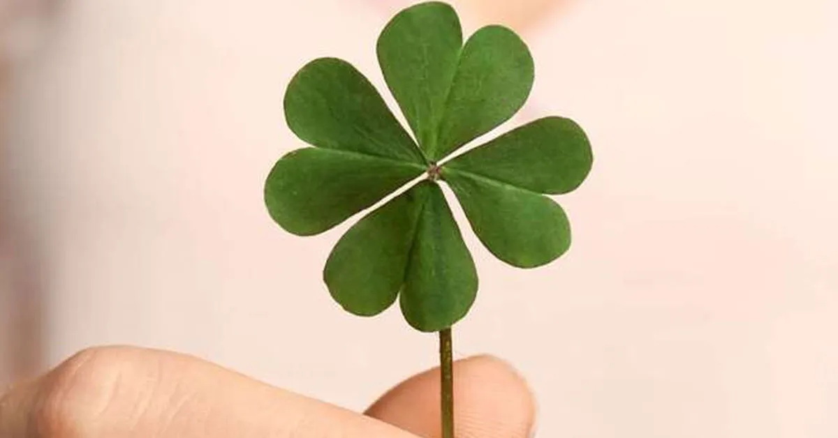 Leão, Sagitário e Libra entram em uma maré de sorte em novembro, dizem astrólogos